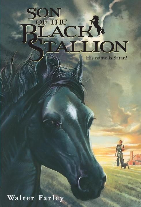 Produktbild: Son of the Black Stallion