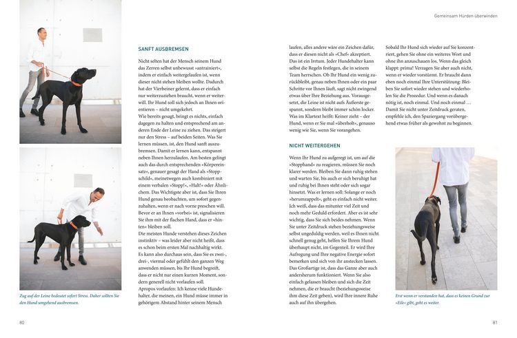 Produktbild: Die Jos&eacute;-Arce-Methode: Liebe Deinen Hund. Wie Sie beim Gassigehen die Beziehung st&auml;rken