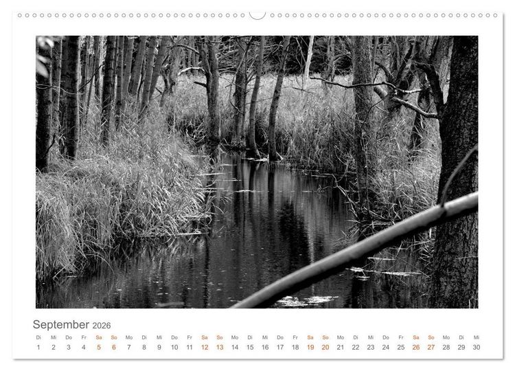 Produktbild: Quo Vadis? W&auml;lder und Wege in der R&ouml;hn, L&uuml;neburger Heide und der Mecklenburgischen Seenplatte (Wandkalender 2026 DIN A2 quer), CALVENDO Monatskalender
