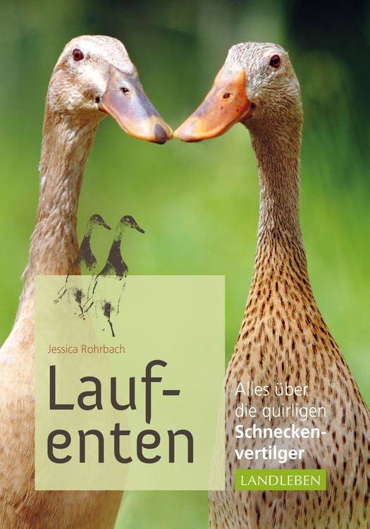 Produktbild: Laufenten