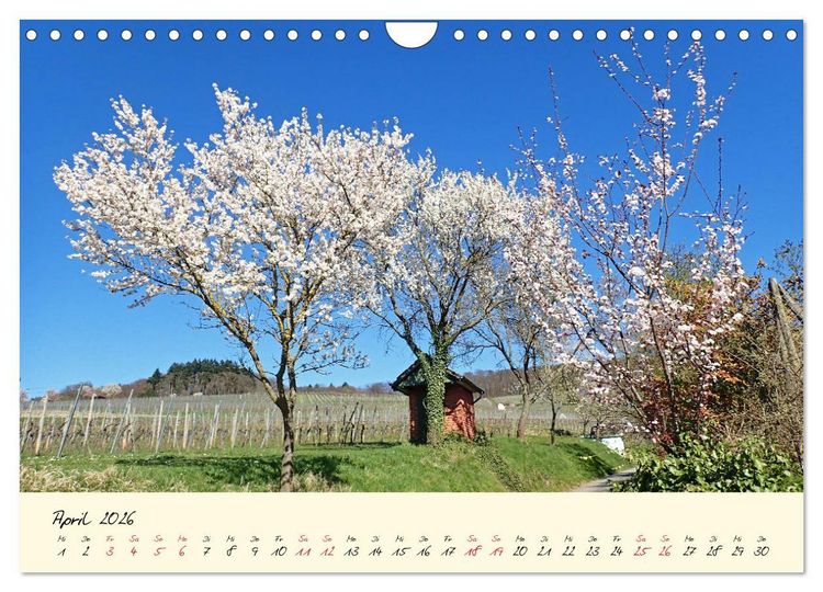 Produktbild: Malerisches Heppenheim an der Bergstra&szlig;e (Wandkalender 2026 DIN A4 quer), CALVENDO Monatskalender