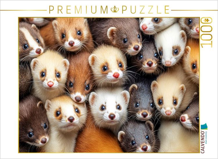 Produktbild: CALVENDO Puzzle Frettchen Kuschelhaufen | 1000 Teile Lege-Gr&ouml;&szlig;e 64x48cm Foto-Puzzle f&uuml;r gl&uuml;ckliche Stunden