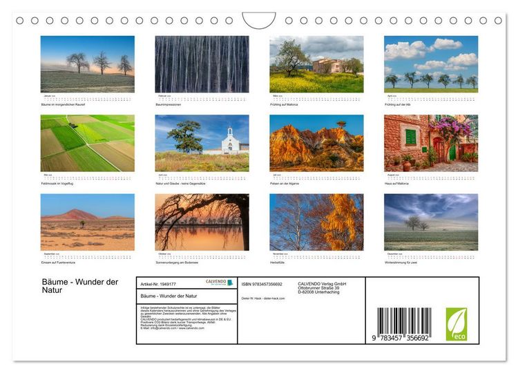 Produktbild: B&auml;ume - Wunder der Natur (Wandkalender 2026 DIN A4 quer), CALVENDO Monatskalender
