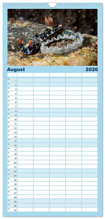 Produktbild: Familienplaner 2026 - Nudis &ndash; Die bunte Welt der Nacktschnecken mit 5 Spalten (Wandkalender, 21 x 45 cm) CALVENDO