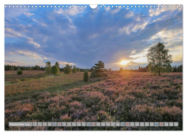 Produktbild: L&uuml;neburger Heide - Faszinierend sch&ouml;n (Wandkalender 2026 DIN A3 quer), CALVENDO Monatskalender