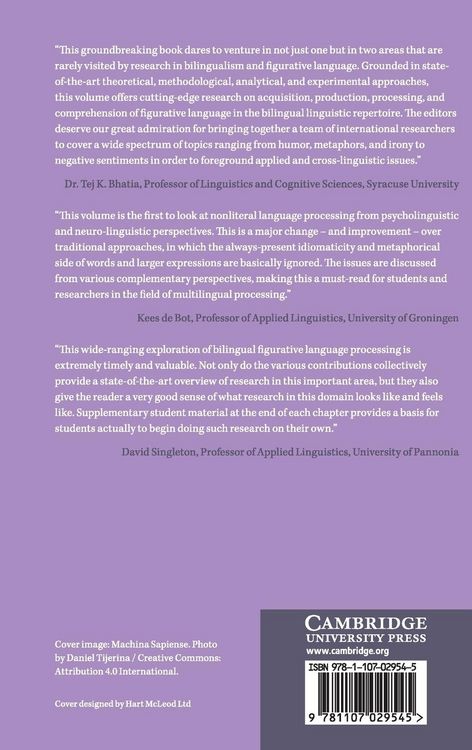 Produktbild: Bilingual Figurative Language Processing