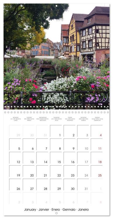 Produktbild: France Alsace (Wall Calendar 2026 12 &times; 12 Inch) CALVENDO 12 Month Wall Calendar