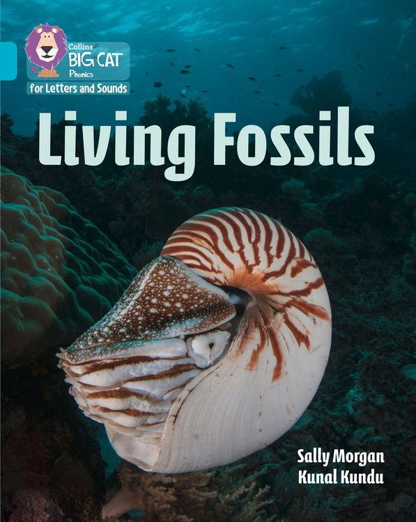 Produktbild: Big Cat Phonics - Living Fossi