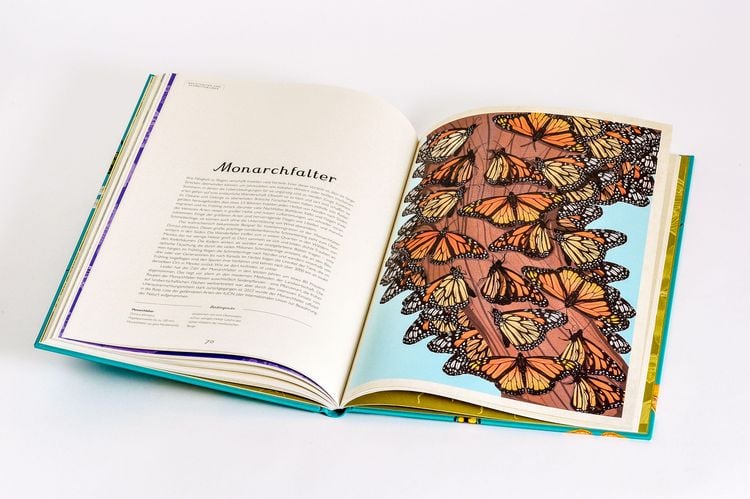 Produktbild: Das Museum der Insekten