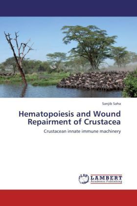 Produktbild: Saha, S: Hematopoiesis and Wound Repairment of Crustacea