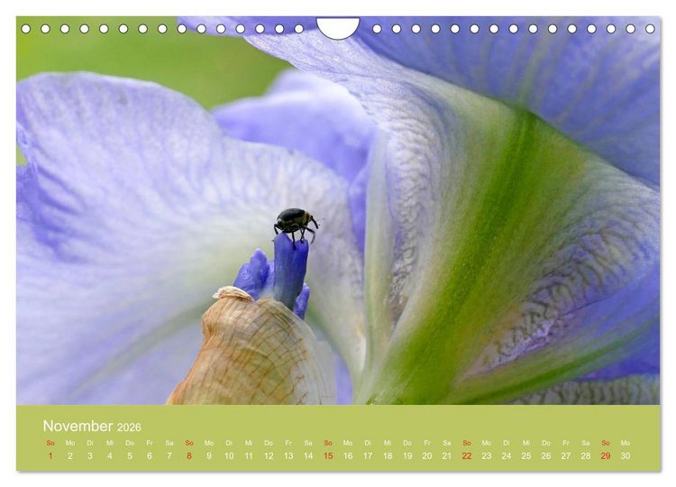 Produktbild: Fauna trifft Flora - Tierischer Besuch im Pflanzenreich (Wandkalender 2026 DIN A4 quer), CALVENDO Monatskalender