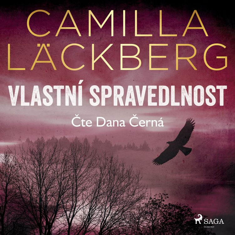 Produktbild: Vlastn&iacute; spravedlnost