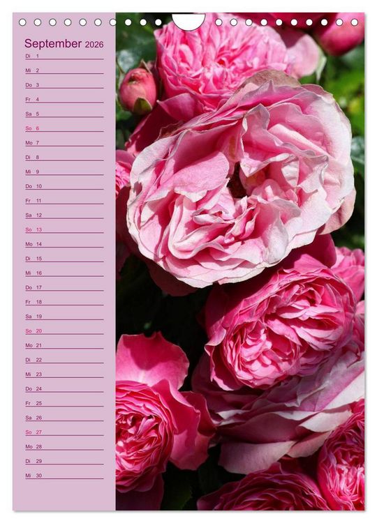 Produktbild: Rosen Symphonie (Wandkalender 2026 DIN A4 hoch), CALVENDO Monatskalender