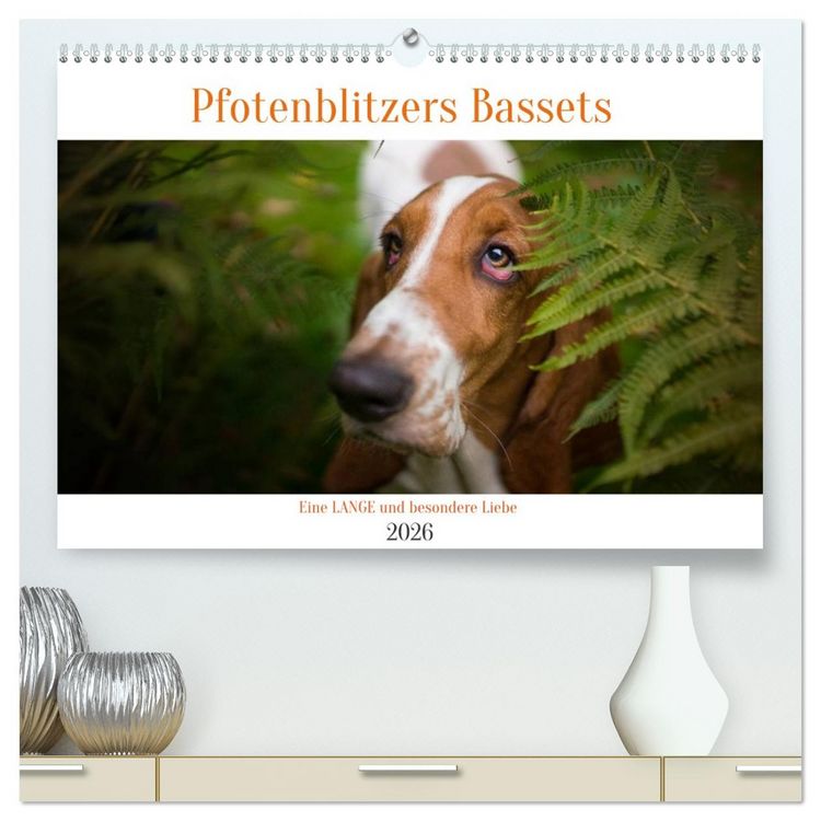 Produktbild: Der Basset, eine LANGE und besondere Liebe (hochwertiger Premium Wandkalender 2026 DIN A2 quer), Kunstdruck in Hochglanz
