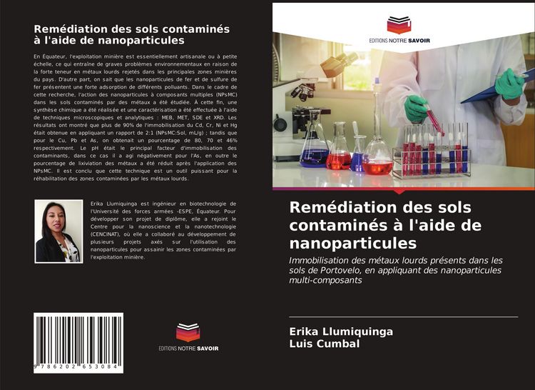 Produktbild: Rem&eacute;diation des sols contamin&eacute;s &agrave; l'aide de nanoparticules