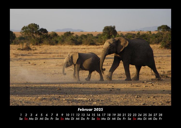 Produktbild: Der Elefantenkalender 2025 Fotokalender DIN A3