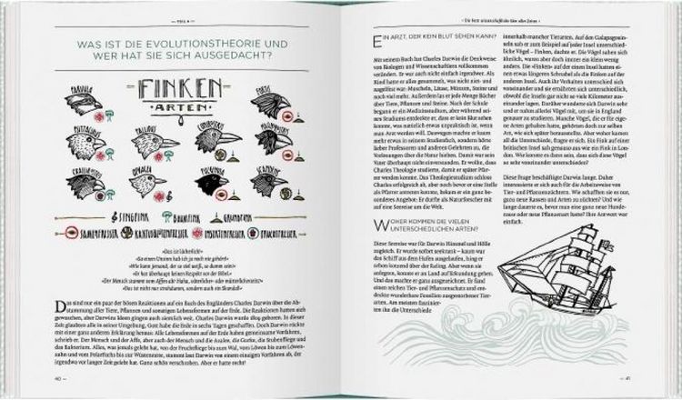 Produktbild: Evolution