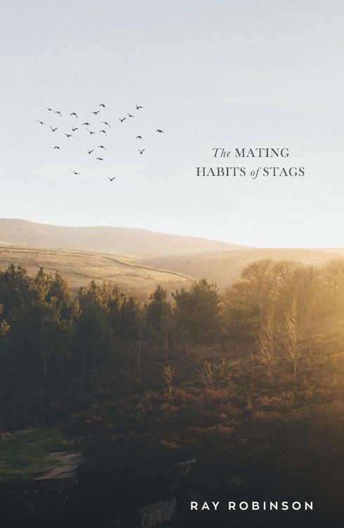 Produktbild: The Mating Habits of Stags