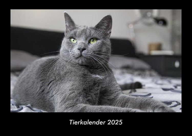 Produktbild: Tierkalender 2025 Fotokalender DIN A3