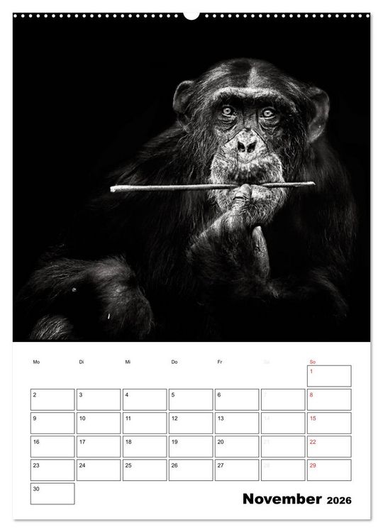 Produktbild: Charakterk&ouml;pfe aus der Welt der Tiere (hochwertiger Premium Wandkalender 2026 DIN A2 hoch), Kunstdruck in Hochglanz
