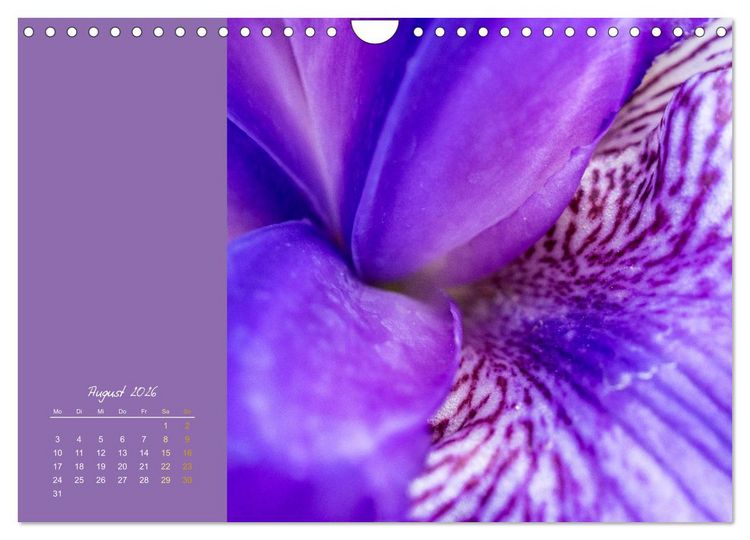Produktbild: Bl&uuml;tenstil (Wandkalender 2026 DIN A4 quer), CALVENDO Monatskalender