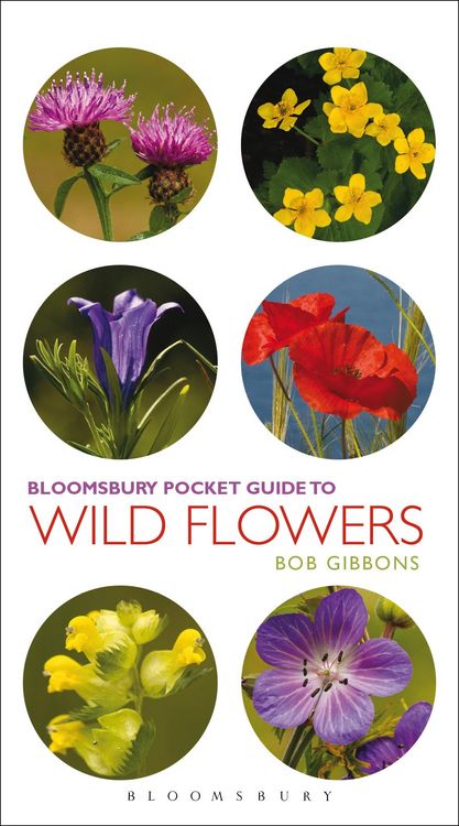 Produktbild: Pocket Guide To Wild Flowers