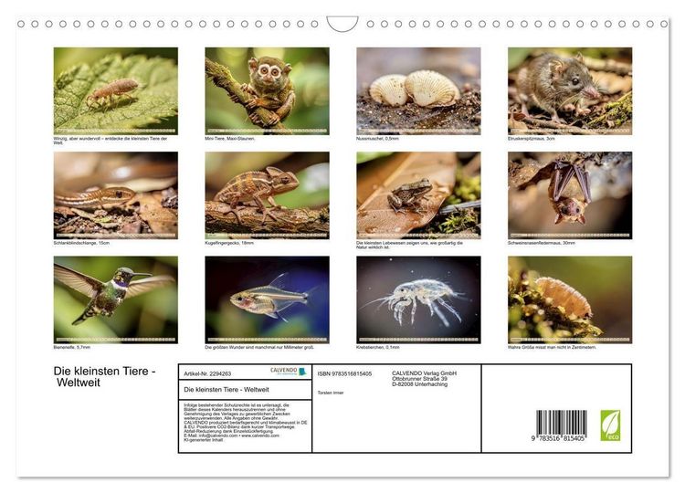 Produktbild: Die kleinsten Tiere - Weltweit (Wandkalender 2027 DIN A3 quer), CALVENDO Monatskalender