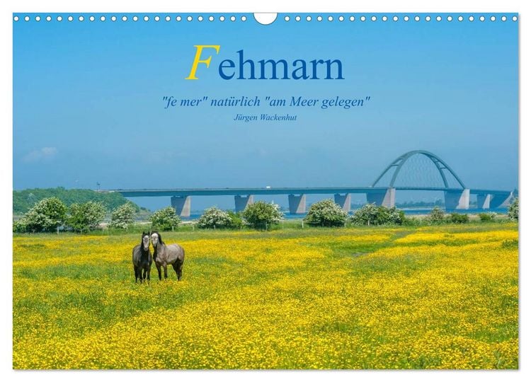 Produktbild: Fehmarn - "fe mer" nat&uuml;rlich "am Meer gelegen" (Wandkalender 2026 DIN A3 quer), CALVENDO Monatskalender