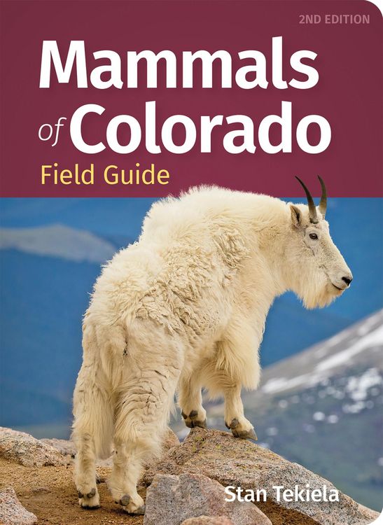 Produktbild: Mammals of Colorado Field Guide