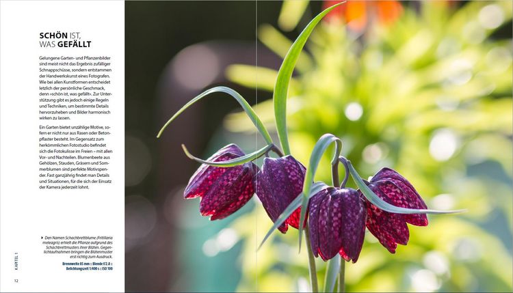 Produktbild: Garten-Shooting