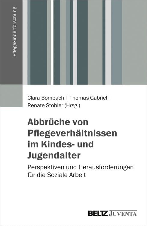 Produktbild: Abbr&uuml;che von Pflegeverh&auml;ltnissen im Kindes- und Jugendalter