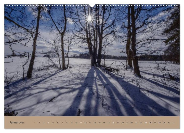 Produktbild: Unser Wald - Magische Sichten in norddeutsche W&auml;lder (Wandkalender 2026 DIN A2 quer), CALVENDO Monatskalender
