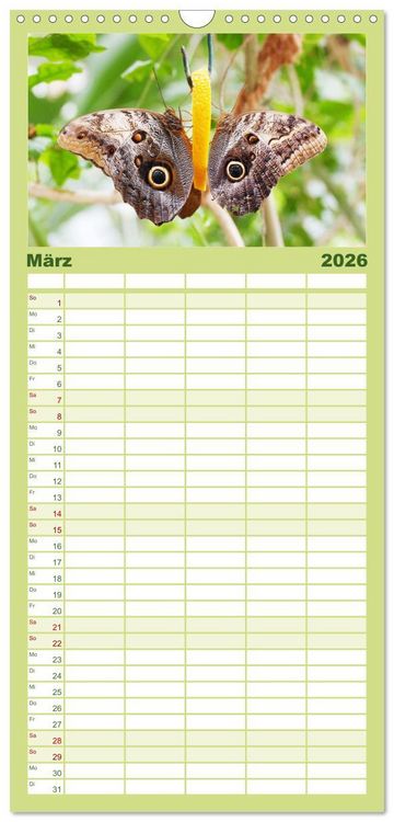 Produktbild: Familienplaner 2026 - Sanfte Natur mit 5 Spalten (Wandkalender, 21 x 45 cm) CALVENDO