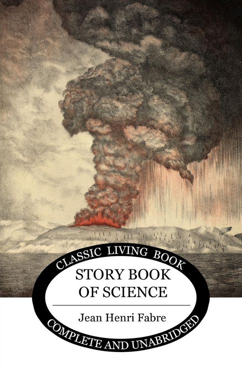 Produktbild: The Storybook of Science