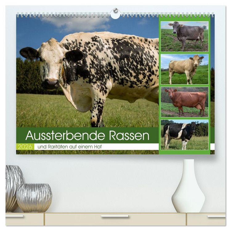 Produktbild: Aussterbende Rassen und Rarit&auml;ten (hochwertiger Premium Wandkalender 2026 DIN A2 quer), Kunstdruck in Hochglanz