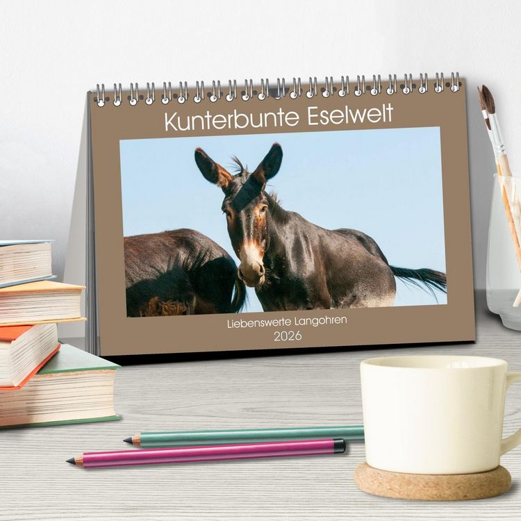 Produktbild: Kunterbunte Eselwelt - Liebenswerte Langohren (Tischkalender 2026 DIN A5 quer), CALVENDO Monatskalender