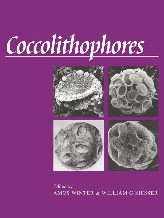 Produktbild: Coccolithophores
