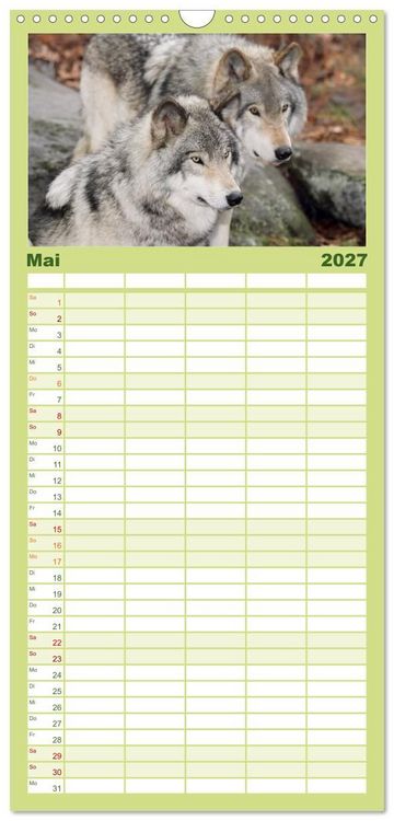 Produktbild: Familienplaner 2027 - W&ouml;lfe. Verwegene Anmut mit 5 Spalten (Wandkalender, 21 x 45 cm) CALVENDO