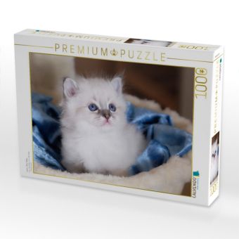 Produktbild: CALVENDO Puzzle Lenni - Blue Tabby | 1000 Teile Lege-Gr&ouml;&szlig;e 64x48cm Foto-Puzzle f&uuml;r gl&uuml;ckliche Stunden