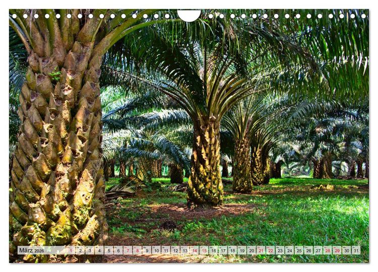 Produktbild: S&atilde;o Tom&eacute; - Inselparadies am &Auml;quator (Wandkalender 2026 DIN A4 quer), CALVENDO Monatskalender