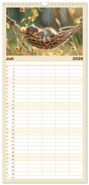 Produktbild: Familienplaner 2026 - Einfach mal abh&auml;ngen mit 5 Spalten (Wandkalender, 21 x 45 cm) CALVENDO