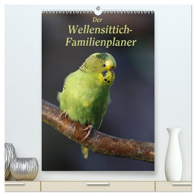 Produktbild: Der Wellensittich-Familienplaner (hochwertiger Premium Wandkalender 2026 DIN A2 hoch), Kunstdruck in Hochglanz