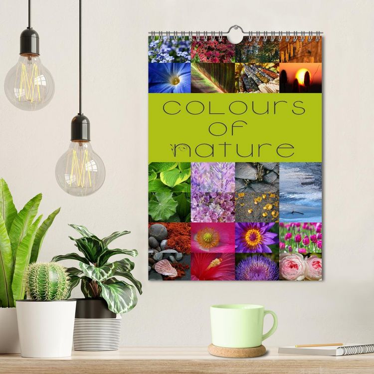 Produktbild: Colours of Nature / UK-Version (Wall Calendar 2026 DIN A4 portrait), CALVENDO 12 Month Wall Calendar