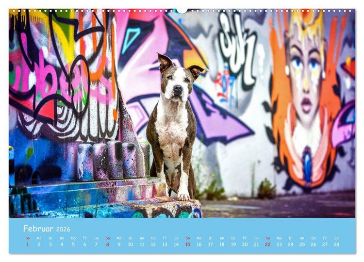 Produktbild: Hunde und Graffiti (Wandkalender 2026 DIN A2 quer), CALVENDO Monatskalender