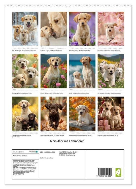 Produktbild: Mein Jahr mit Labradoren (hochwertiger Premium Wandkalender 2027 DIN A2 hoch), Kunstdruck in Hochglanz