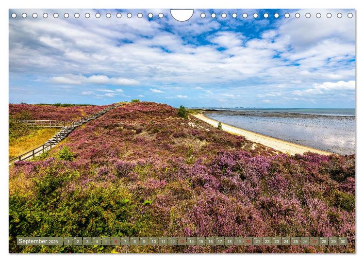 Produktbild: Magisches Sylt. Bezaubernde Landschaft (Wandkalender 2026 DIN A4 quer), CALVENDO Monatskalender