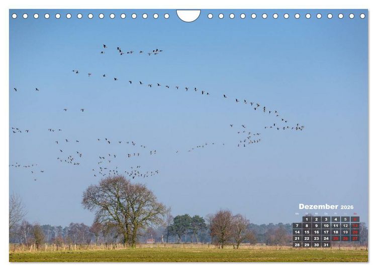 Produktbild: Die Dingdener Heide im Wandel der Jahreszeiten (Wandkalender 2026 DIN A4 quer), CALVENDO Monatskalender