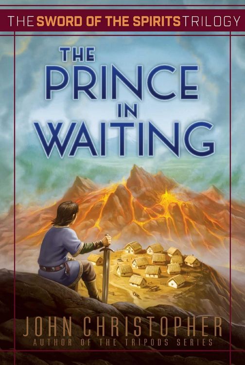 Produktbild: The Prince in Waiting