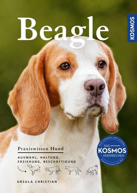 Produktbild: Beagle