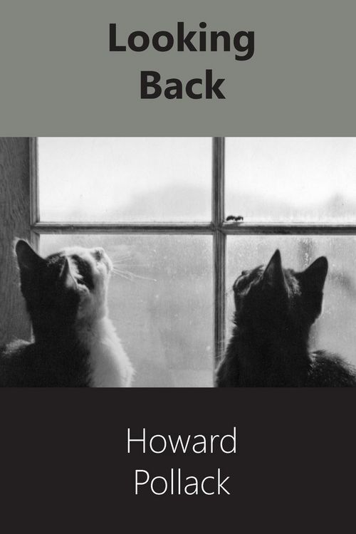 Produktbild: Looking Back